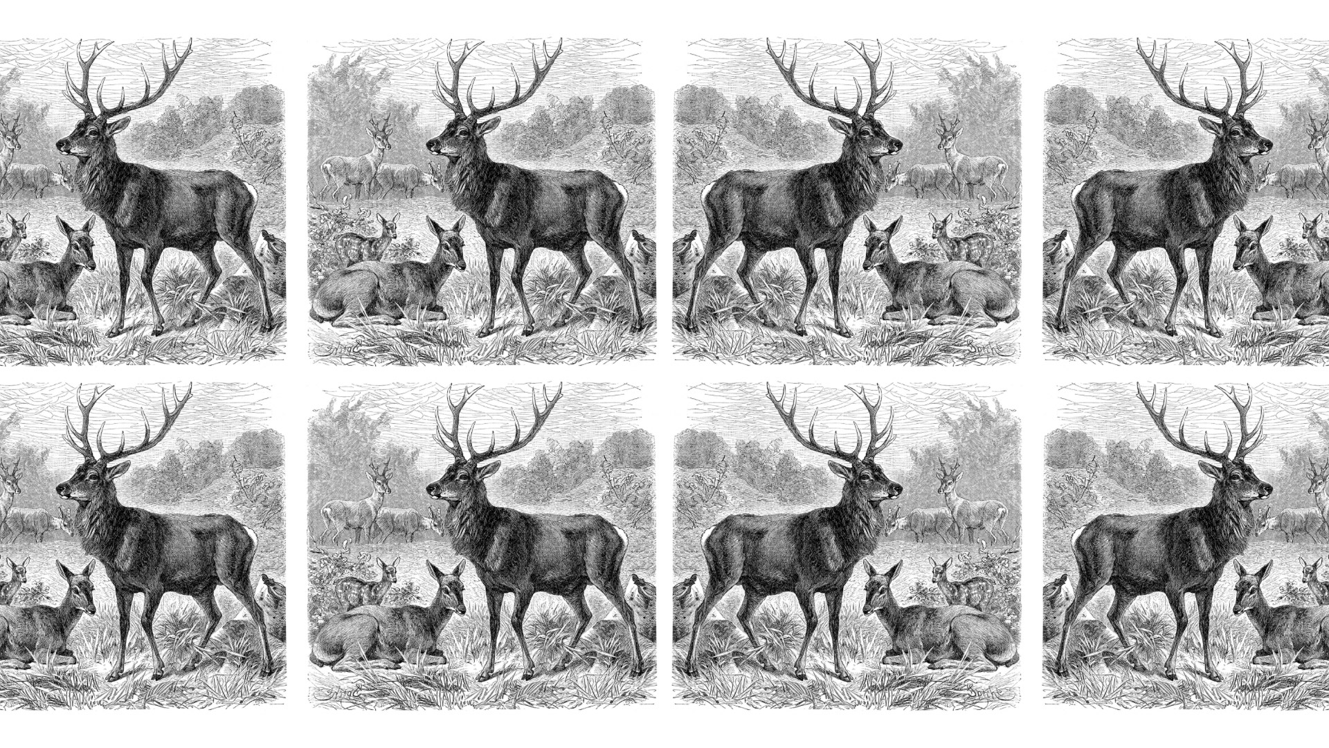 smalljones's tweet card. Nature is delicate. Lies are persistent. Love is steadfast.