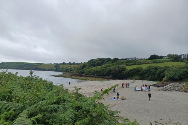 Corkman_ie's tweet card. Cork County Council has joined almost 150 individuals and groups in appealing the decision to grant an aquaculture licence for a mussel farm in Kinsale har...