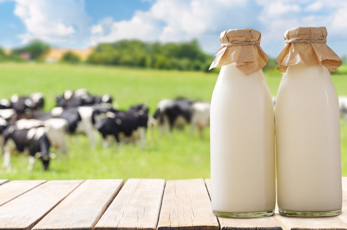 ScotCountryside's tweet card. A sensationalist anti-dairy advert has been banned by the Advertising Standards Authority (ASA). Fringe animal rights activist group Viva! produced a “hysterical” video that was set to play at...