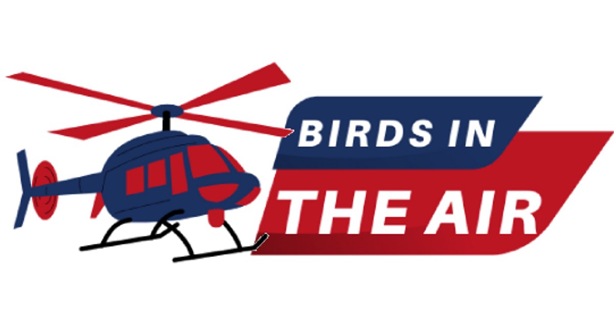 SkyWobAlerts's tweet card. Birds In The Air - @WorldWideWob Official Store