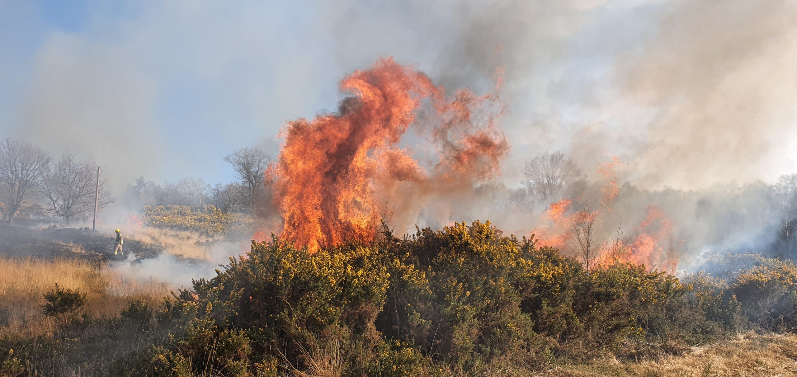 NFCC_FireChiefs's tweet card. Wildfire numbers this year surge past 500, as Fire Chiefs urge public caution - NFCC