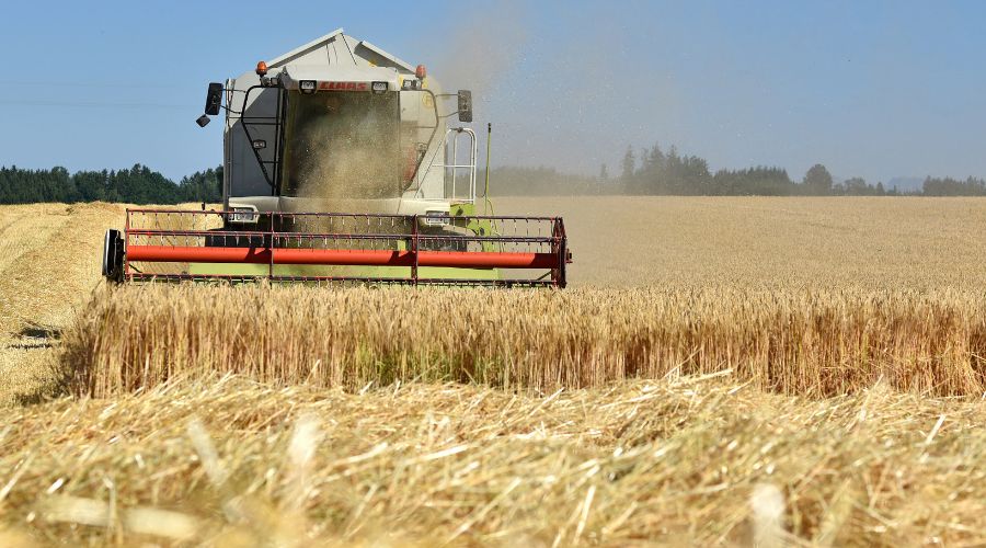 FarmersGuide's tweet card. Although this year’s harvest kicked off earlier than usual, intermittent and often heavy rainfall has slowed the progress, according to the AHDB’s second harvest report of 2025.