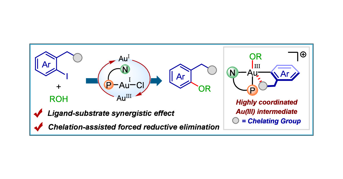 ThePatilGroup's tweet card. Herein, we demonstrate chelating-group-assisted C(sp2)–O reductive elimination at gold(III) centers. Detailed stoichiometric studies highlighted the importance of a chelating group for achieving...