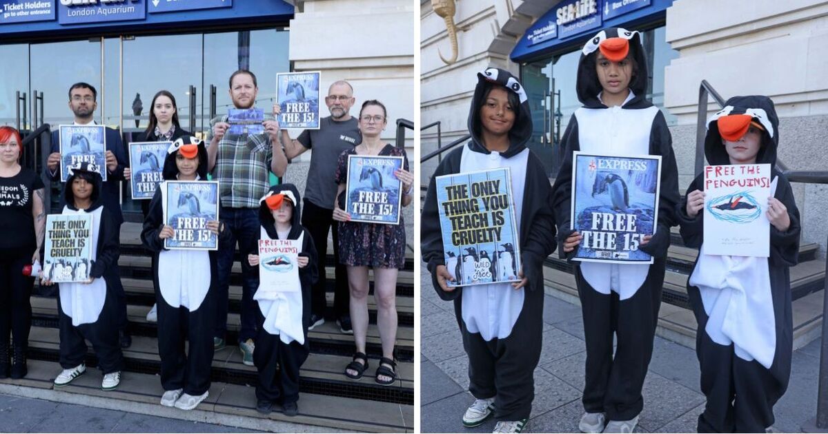 LeosAnimalPlan1's tweet card. Campaigners are demanding that an aquarium moves its penguins into a more suitable habitat.