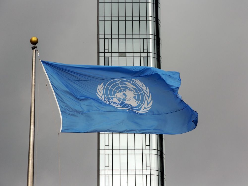 thejohnrobson's tweet card. Michael Higgins: Sex is real. Even the UN thinks so
