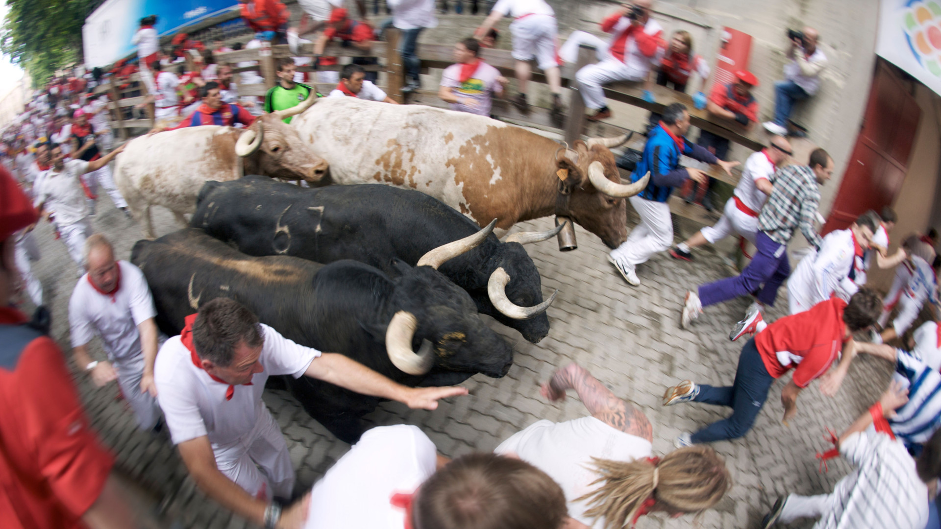 copenavarra's tweet card. Miguel Araújo, corredor que lleva 12 años participando en los encierros de San Fermín, nos desgrana más claves al respecto en 'Herrera en COPE'
