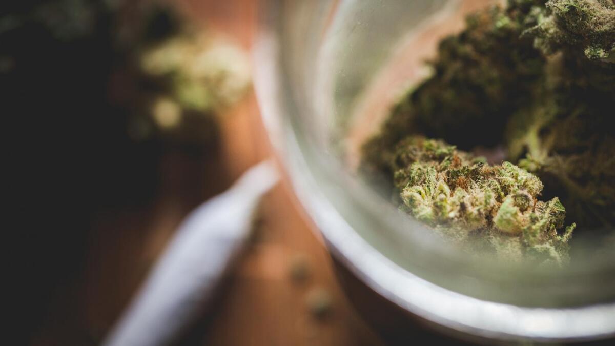 jhucsl's tweet card. The DEA has reclassified marijuana as a less dangerous drug, but it could have big implications across the country — including in research into the drug. The Show sat down with Tory Spindle, an...