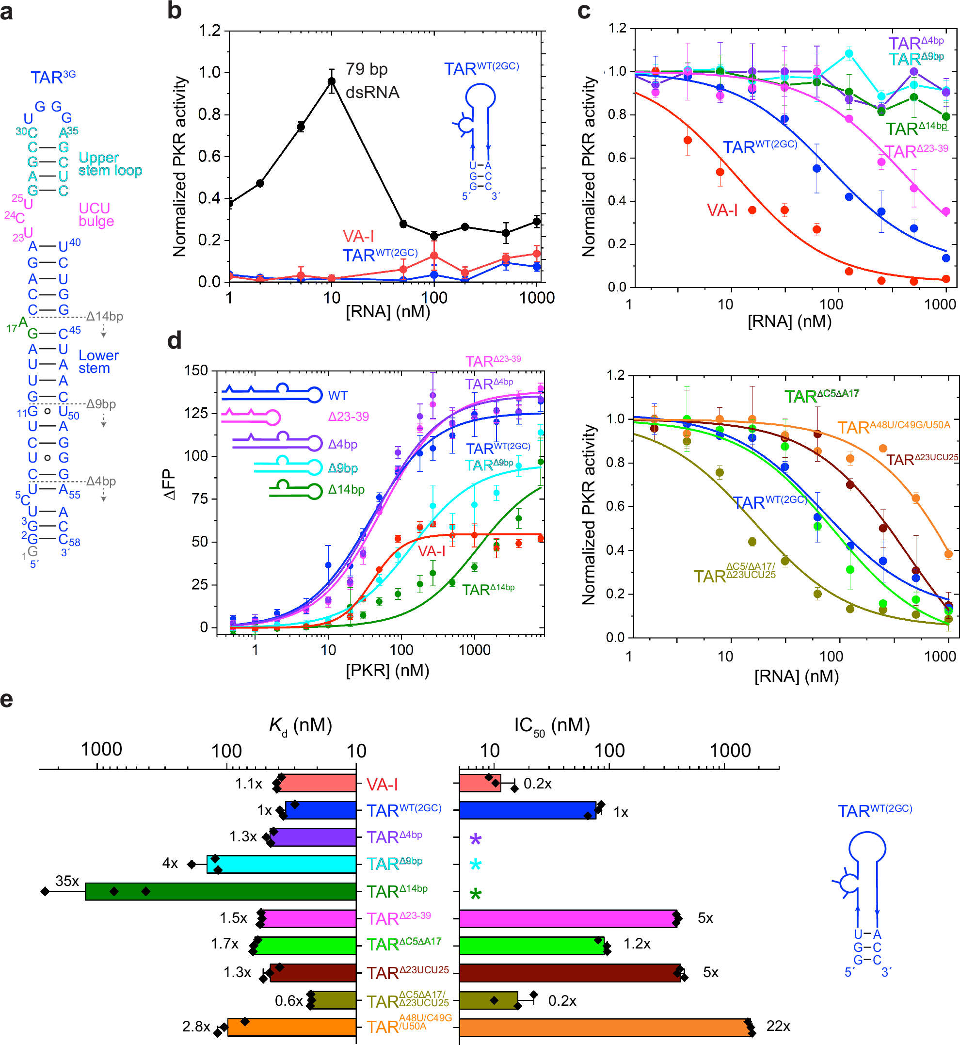 AdrienChauvier's tweet card. Nature Communications - HIV-1 TAR RNA plays key roles in viral replication, transcription, and translation. Here, Bou-Nader et al., portray the structure, dynamics, and interactions of a complete...