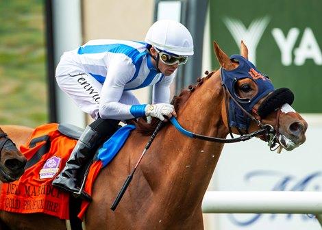 lrfracing's tweet card. Five of the eight starters have previously competed in the Eddie Read, including 2023 winner Gold Phoenix.