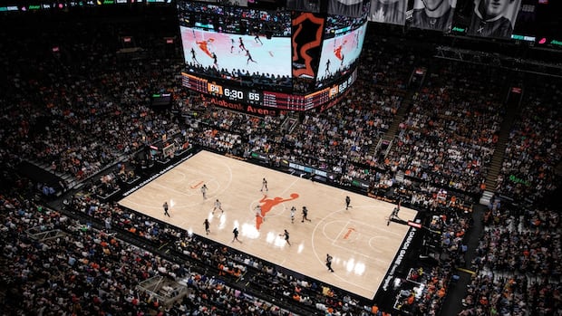 _shireenahmed_'s tweet card. A group headed by Toronto billionaire Larry Tanenbaum has been granted an expansion franchise with the WNBA, CBC Sports has learned.