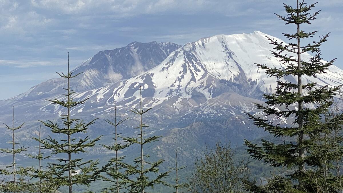 DavidMarkDC's tweet card. An ordinance being considered in Washington state would cite a person 'if they are found to be reckless or negligent in their actions where search and rescue is requested to respond,' according to a...