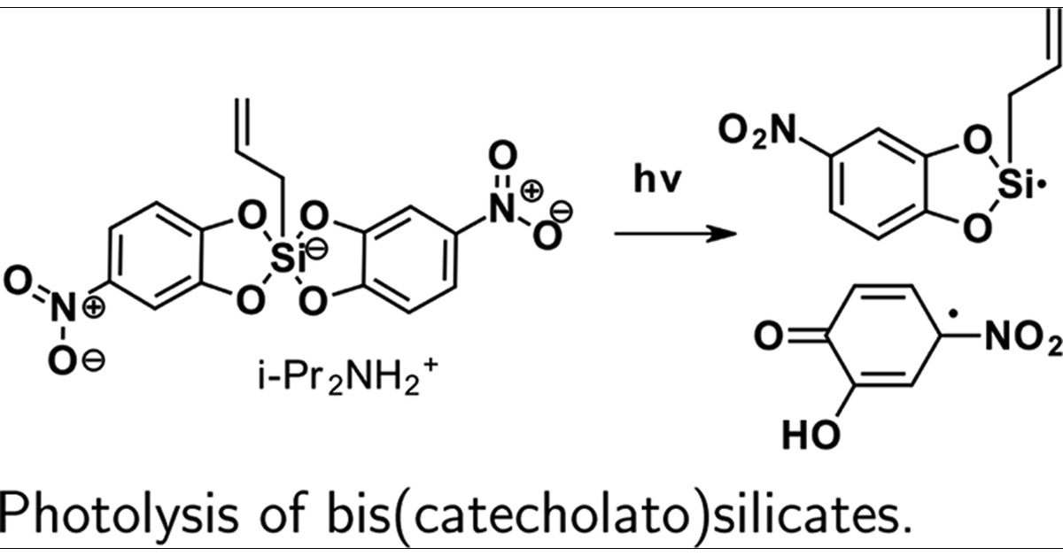 djavko's tweet card. We investigated the chemical consequences of direct irradiation of alkyl bis(catecholato)silicates. We provide evidence for alkyl radical formation through EPR spin-trapping experiments, relative...