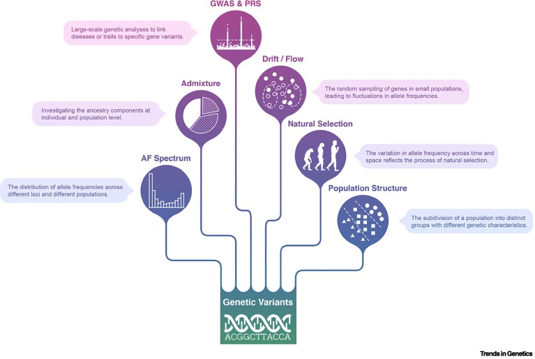 IntiOmics's tweet card. As a noninvasive biomarker, cell-free DNA (cfDNA) has achieved remarkable success in clinical applications. Notably, cfDNA is essentially DNA, and conducting whole-genome sequencing (WGS) can yield a...