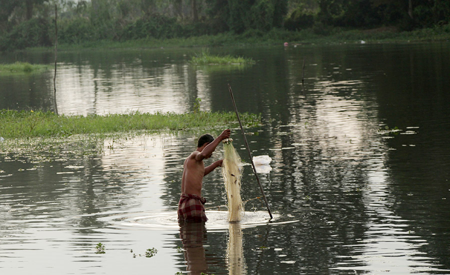 mongabay's tweet card. PALEMBANG, Indonesia — Lithan, 68, grew up eating fish caught from the rivers and freshwater swamps near his village in Ogan Ilir district, near the southern tip of the island of Sumatra. Fish were...