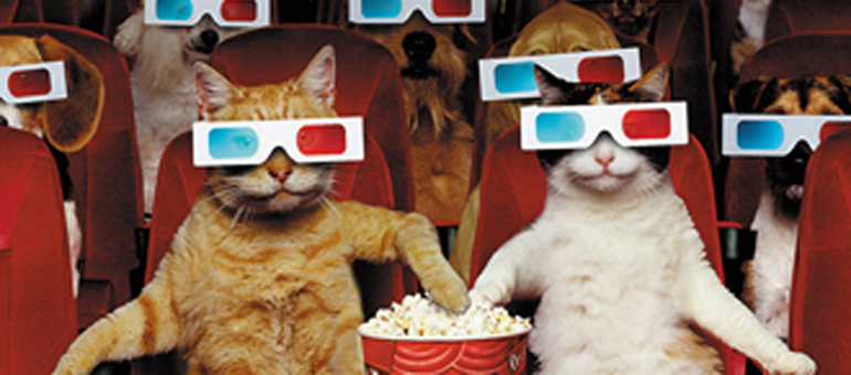 Do502's tweet card. Wanna see a movie but are short on cash? Just like watching free movies? Here are all of the FREE movies in and around Louisville! Know of another free movie happening in town? Let us know!