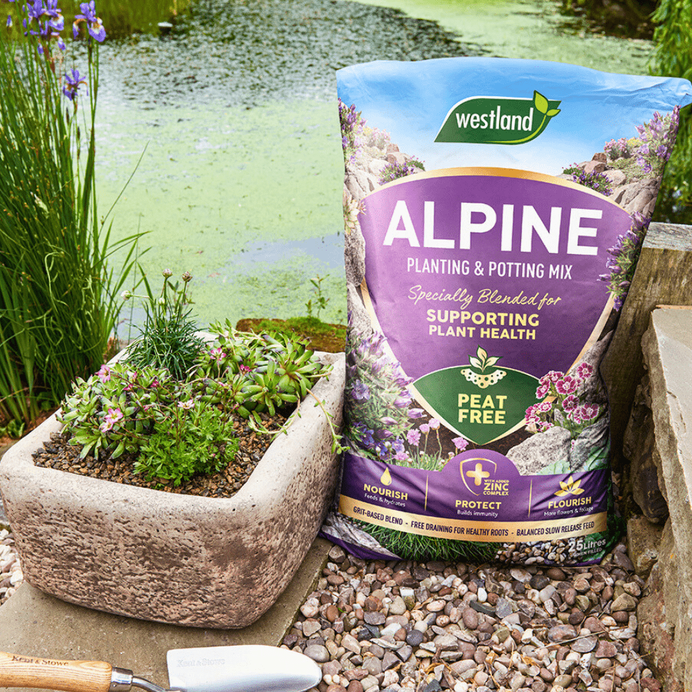 DandysTopsoil's tweet card. Westland Alpine Planting & Potting Mix has been specially developed to give gardeners the ideal medium for planting all types of alpine plants. Nationwide Delivery.