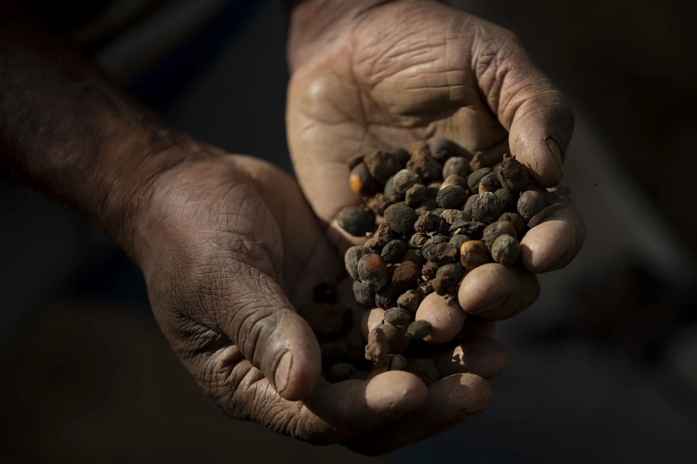 TruckerTalk's tweet card. PORCIUNCULA, Brazil (AP) — Brazilian José Natal da Silva often tends to his modest coffee plantation in the interior of Rio de Janeiro state in the middle