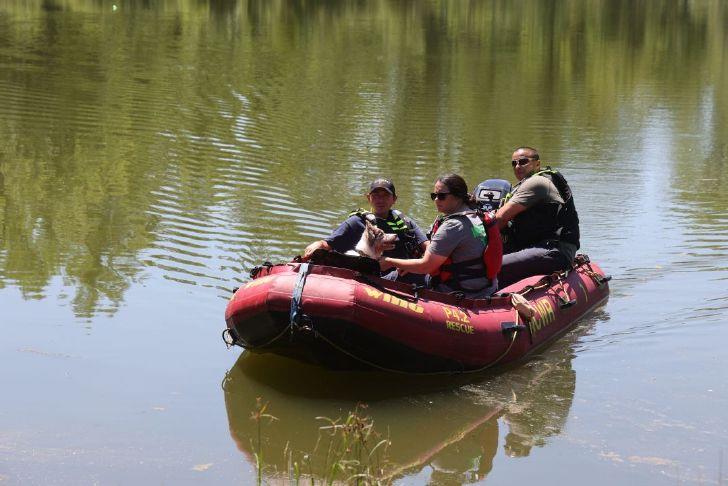 YourChronicle's tweet card. Although the rescue training session featured equipment of enhanced technology like drones and aquatic vehicles, volunteers said one part of the exercise has the chance to sniff out and track...