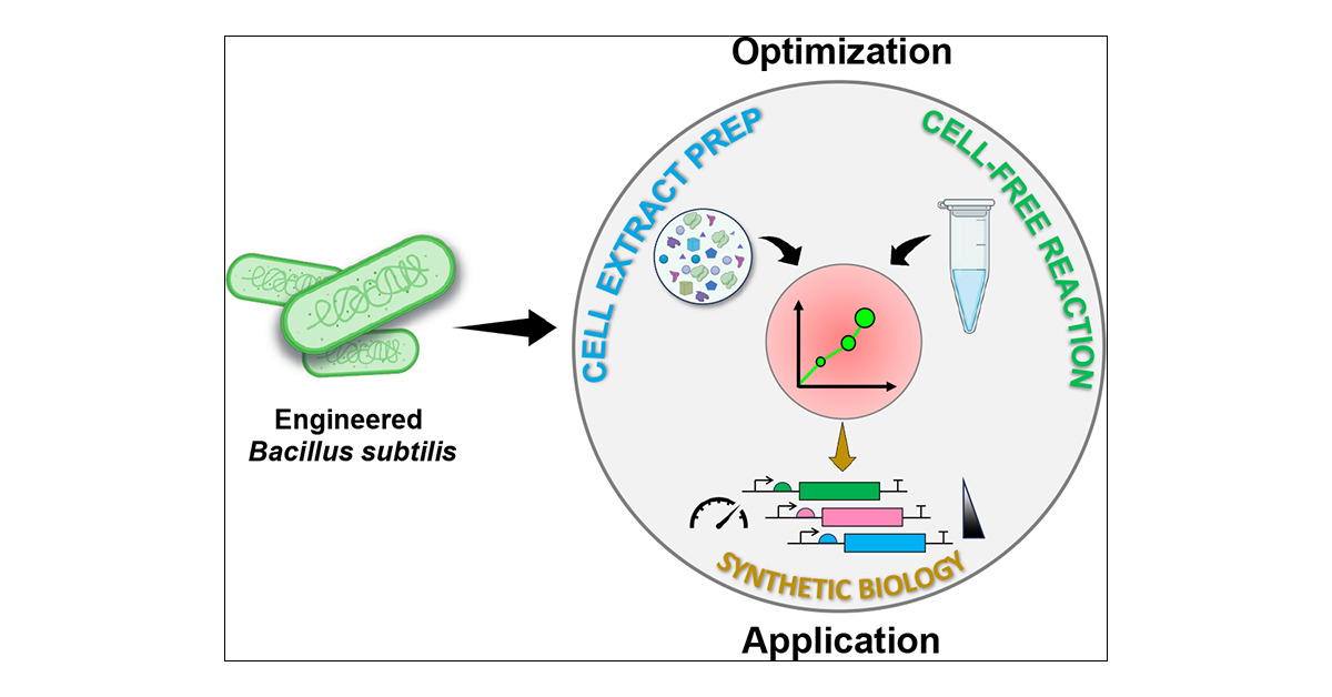 Jian_Li_SHT's tweet card. Cell-free systems are emerging as powerful platforms for synthetic biology with widespread applications in both fundamental research, such as artificial cell construction, and practical uses like...