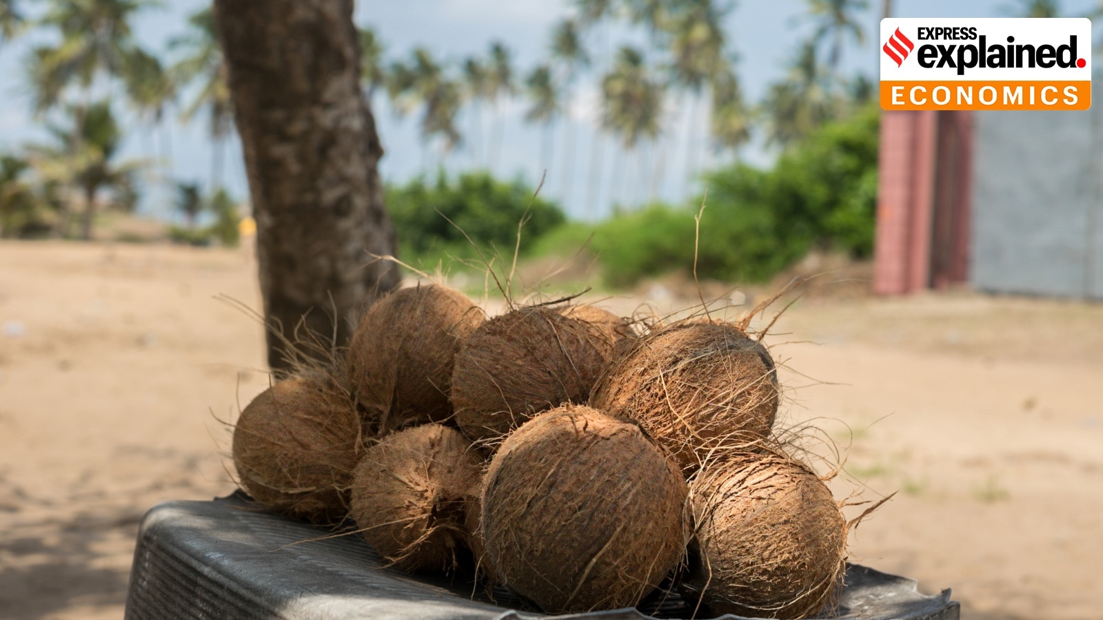 ieexplained's tweet card. A tight global supply, the result of lower production in the Philippines and Indonesia, plus diversion for the production of biodiesel, has made coconut oil the most expensive of all cooking oils...