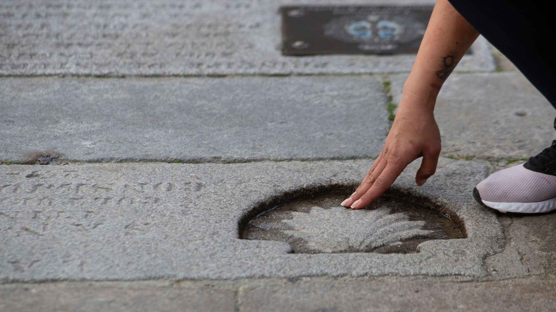 TRECE_es's tweet card. En el Día de Santiago, miles de caminantes culminan su ruta hacia la Catedral compostelana con un objeto colgado al cuello o en la mochila: una simple concha. Pero esa vieira no es un simple recuer...