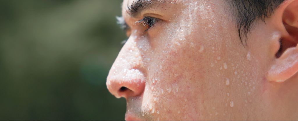 ScienceAlert's tweet card. It's written all over your face.