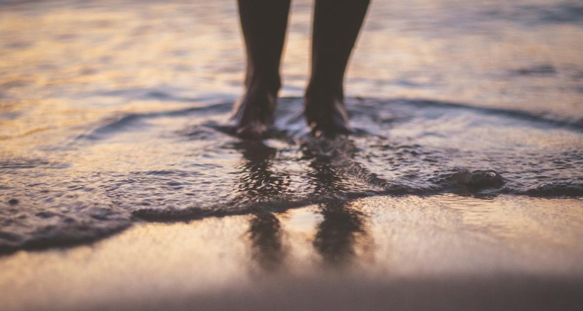 GreenMatters's tweet card. Florida residents are on high alert in 2025 after health officials confirmed the presence of the flesh-eating bacteria Vibrio vulnificus.