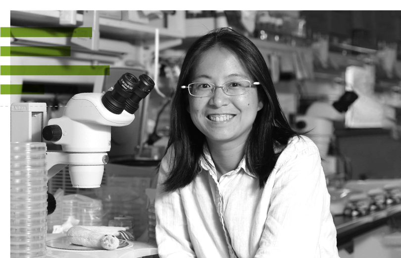 EMBO's tweet card. Supporting young group leaders in Chile, India, Singapore and Taiwan