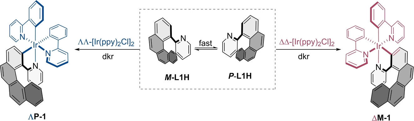 freixasgroup's tweet card. Enantiopure [6]-azairidahelicenes, combining chirality at the metal center and at the helicenic fragment, are readily accessible by an effective dynamic kinetic resolution (dkr) of a configurationa...