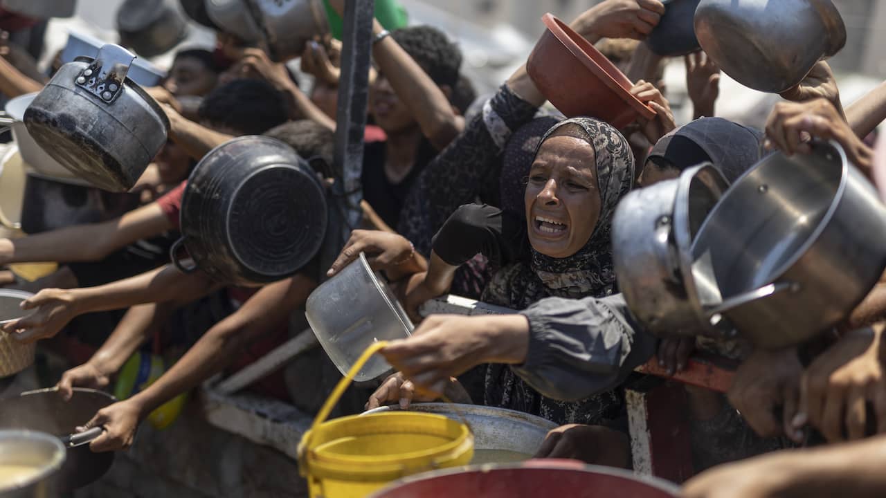 BernaFennis's tweet card. Israël gaat toestaan dat Jordanië en de Verenigde Arabische Emiraten vanuit de lucht hulpgoederen afwerpen in de Gazastrook. De honger grijpt momenteel om zich heen in Gaza. Maar luchtdroppings zijn...