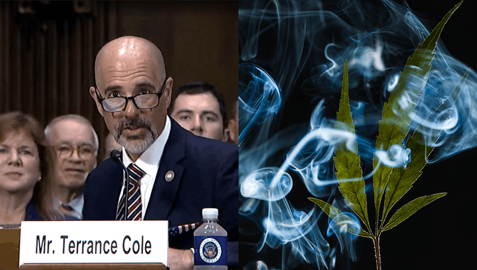 CBTmag's tweet card. Should the Senate invoke cloture, Terrance Cole could be confirmed as soon as next week as the Drug Enforcement Administration’s next leader.