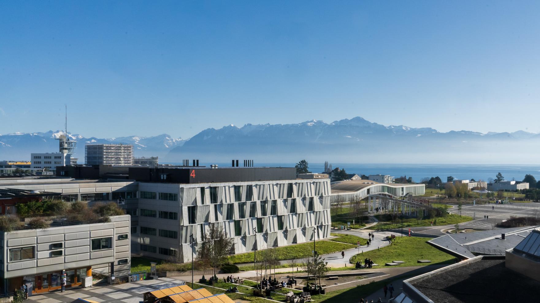 Brainmind_EPFL's tweet card. From exceptional PhD directly to independent group leader