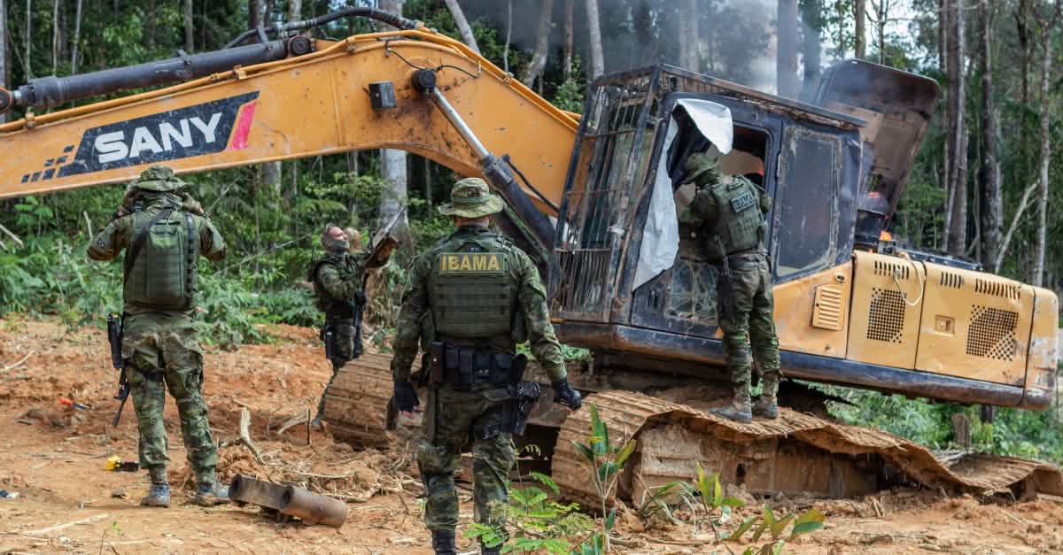 FStagetti's tweet card. Il Parlamento brasiliano intende indebolire pesantemente la protezione della natura e della foresta tropicale con una legge che fomenta la devastazione. Le aziende interessate potrebbero ottenere...