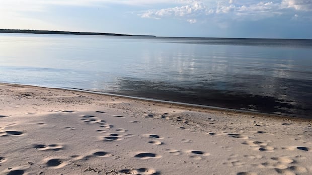 timekeeper1999's tweet card. A two-year-old boy survived a near-drowning at a Manitoba beach after a bystander rushed over to provide CPR, RCMP say.