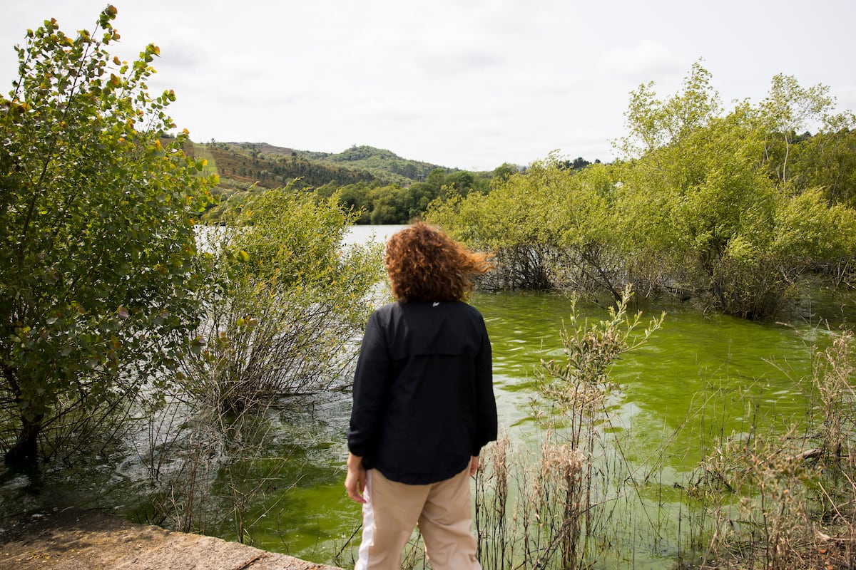 LuisSuarezWWF's tweet card. El Tribunal Superior condena a la Xunta y la Confederación Miño-Sil por su mala gestión del agua, envenenada por vertidos de la ganadería intensiva. Las Administraciones deberán pagar 30.000 euros a...
