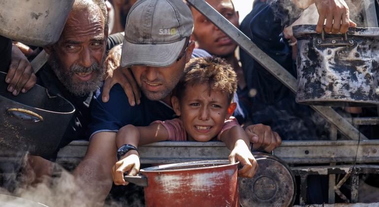 AkliAit's tweet card. Au centre de Gaza, déchirée par la guerre, le personnel de l’ONU continue de travailler malgré les destructions et les souffrances « sans précédent » qui les entourent, selon la cheffe du bureau du...