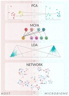 TRHvidsten's tweet card. Holo-omics is the use of omics data to study a host and its inherent microbiomes – a biological system known as a “holobiont”. A microbiome that exists in such a space often encounters habitat...
