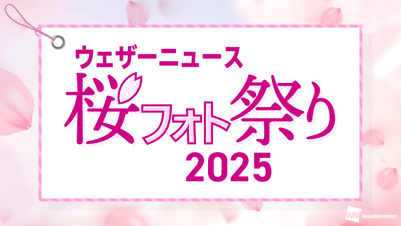 mizunohidehiko's tweet card. 桜絶景写真コンテスト 入賞作品ギャラリー｜ウェザーニュース桜フォト祭り2025