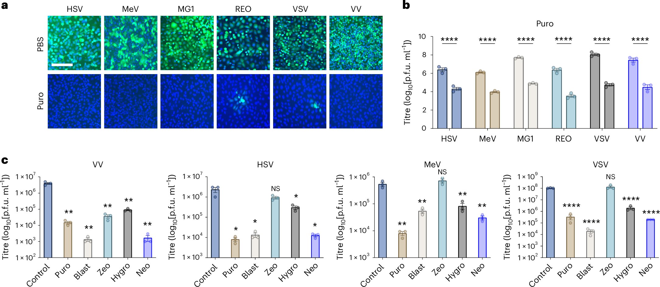 TahaAzad2's tweet card. Nature Biomedical Engineering - The preferential susceptibility of oncolytic viruses to certain antibiotics can be exploited to accelerate the engineering of oncolytic viruses expressing transgenes...