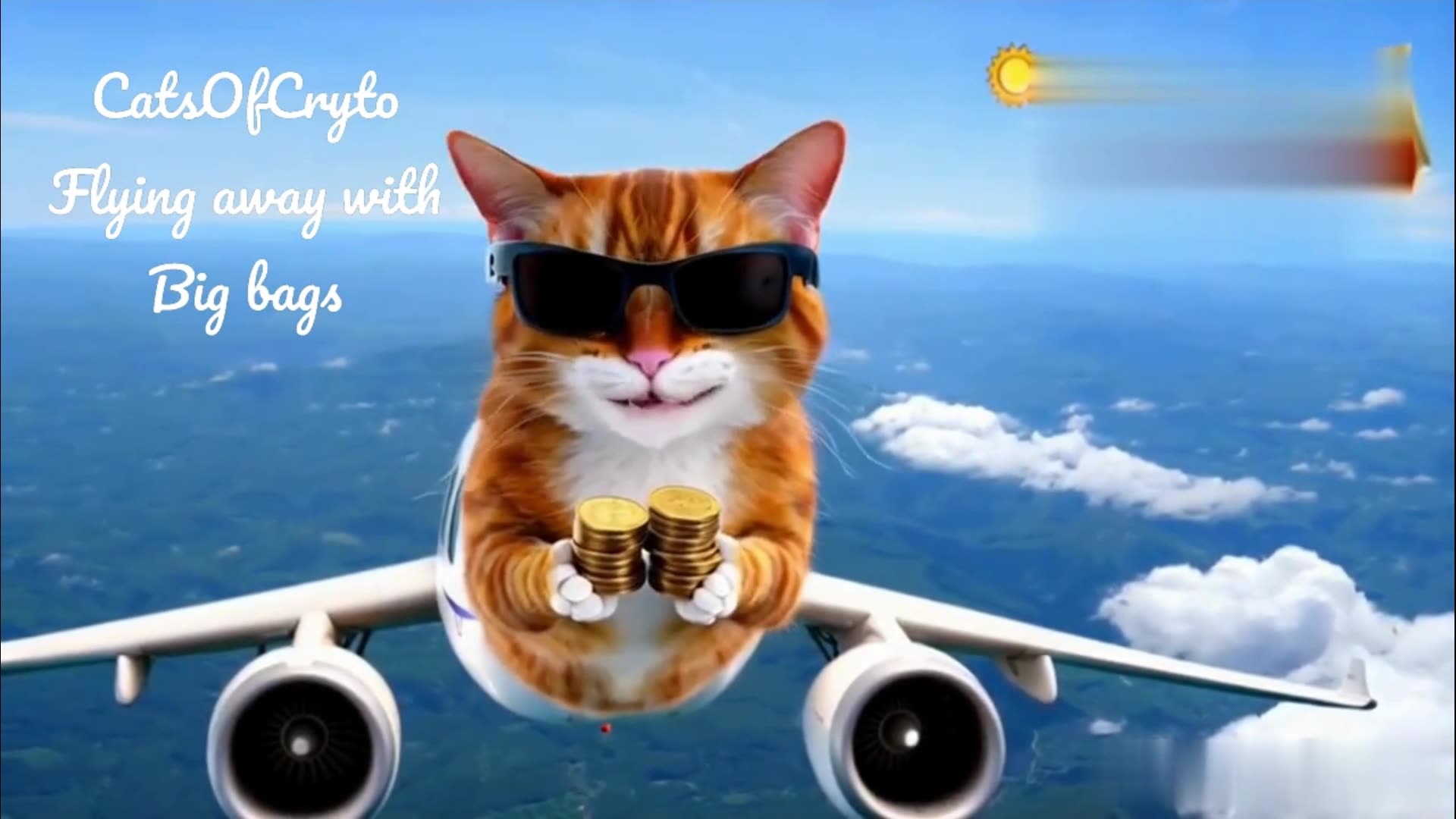CatsOfCrypto9's tweet card. CatsOfCrypto just flying away #Crypto