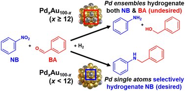 LimGarrick's tweet card. In the one-pot reaction between nitroarenes, aldehydes, and hydrogen, the desired outcome is the selective hydrogenation of nitroarenes to form aminoarenes that condense with aldehydes to yield...