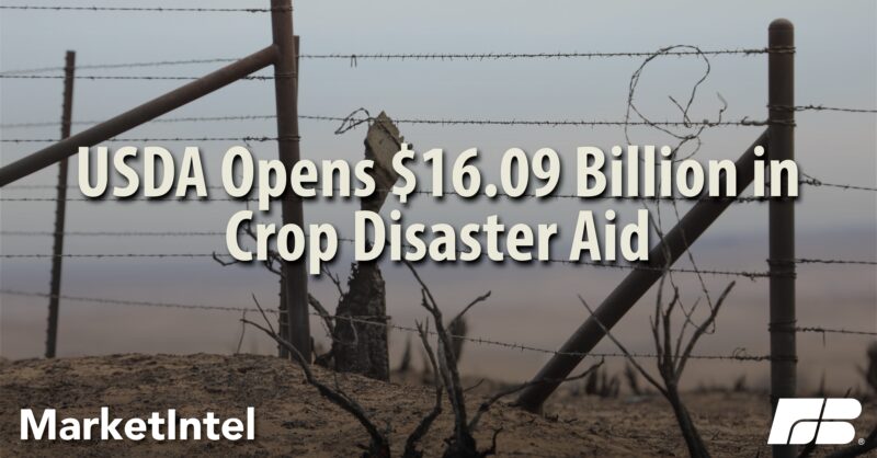 FlaFarmBureau's tweet card. Learn about the Supplemental Disaster Relief Program (SDRP), including payment limits, income requirements, crop insurance mandates, and what to expect in Stage 2. Find out how USDA aims to support...