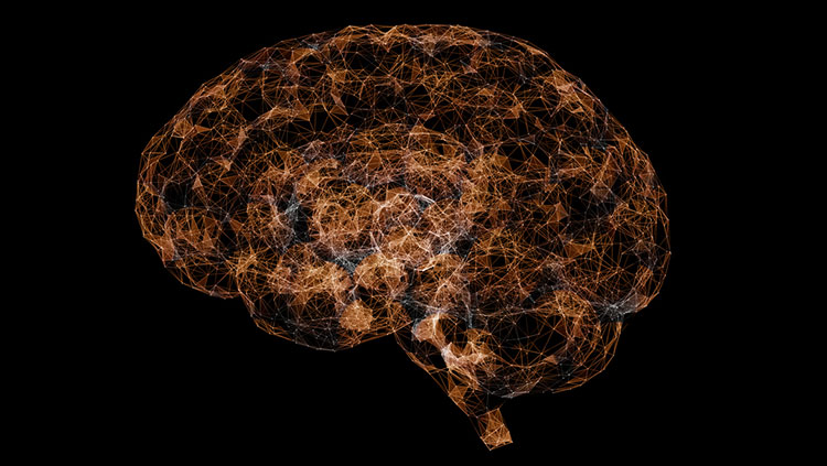 Brain_Facts_org's tweet card. “Why do we know so much about the brain, but still do not have a map of how everything connects?” Sarah Heilbronner explains it isn’t a lack of interest, but a lack of technology.