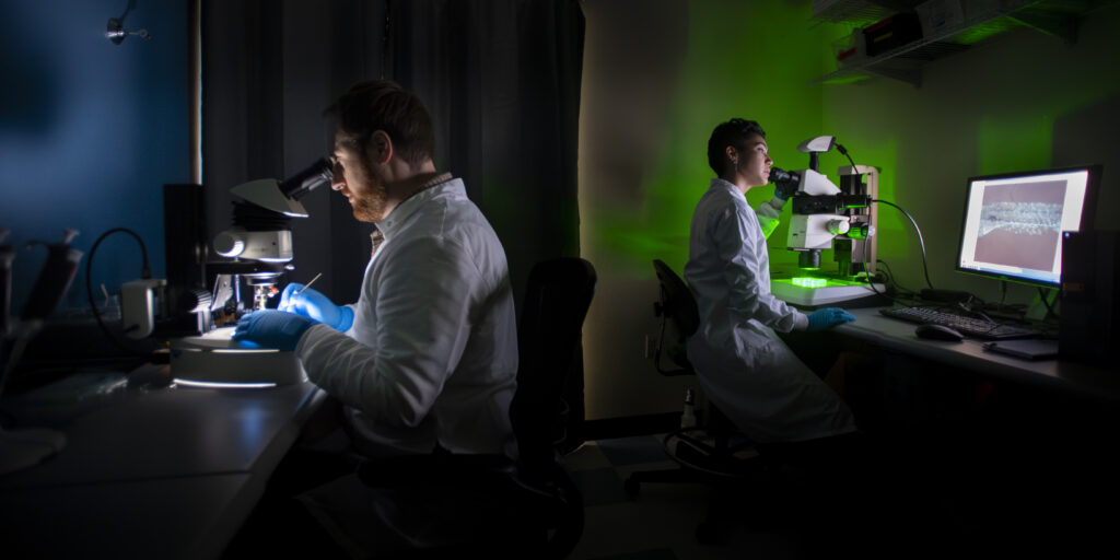 invivobiosystem's tweet card. InVivo Biosystems accelerates preclinical development with advanced CRISPR genome editing and phenotypic assay technologies.