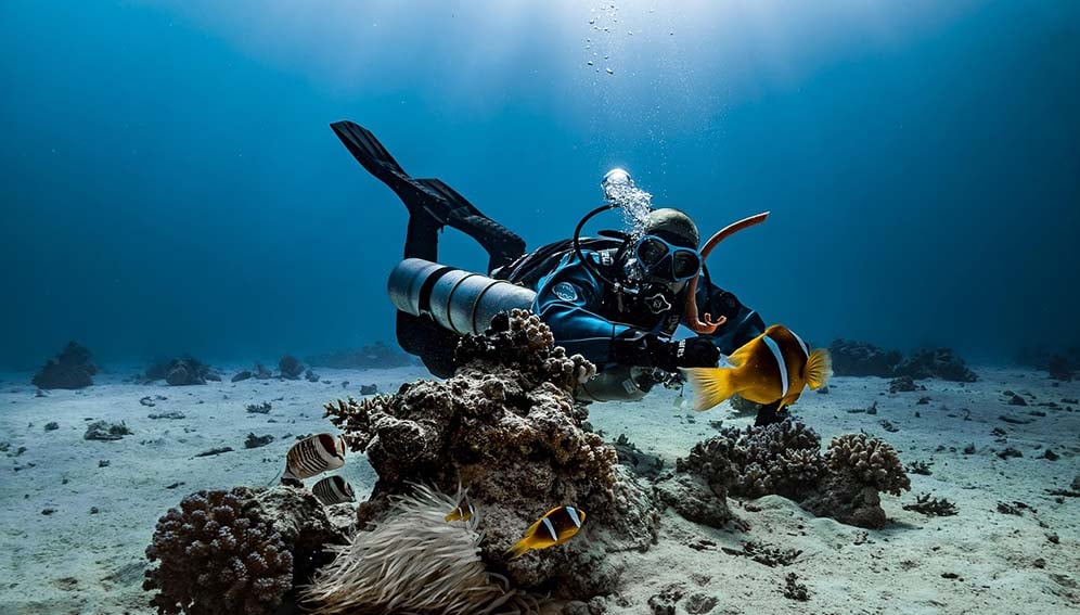 ISC's tweet card. Scientists must make their voices heard to shape responses to our ocean crisis, write authors from the International Science Council’s Ocean Expert Group.