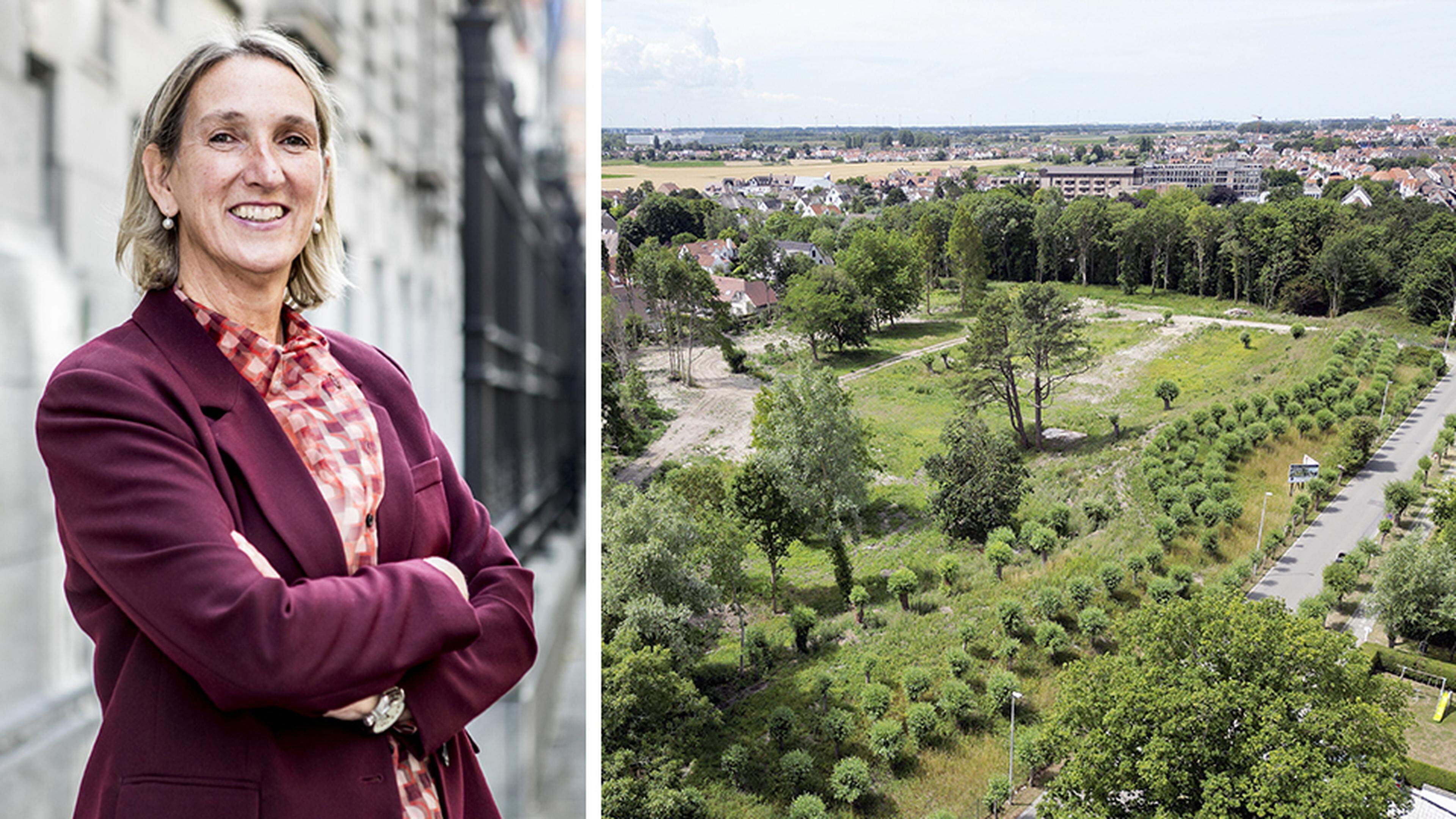 Nieuwsblad_be's tweet card. In Knokke wordt gebouwd aan de allereerste gated community. Twaalf miljoenenvilla’s worden opgetrokken, achter een goedbewaakte omheining. “Voor privacy en veiligheid”, zegt de makelaar. “Puur voor...