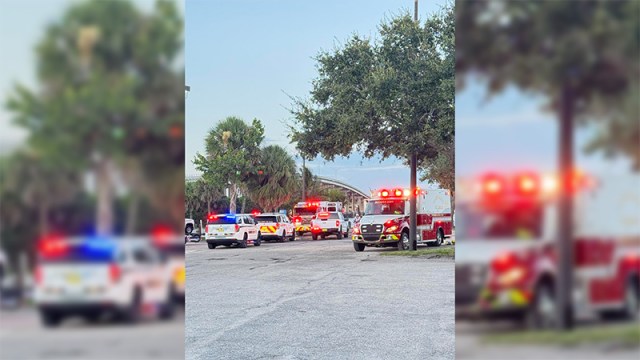 WDHN's tweet card. A 27-year-old woman was taken to a hospital after an alligator briefly pulled her underwater and bit her hand in a Florida river.