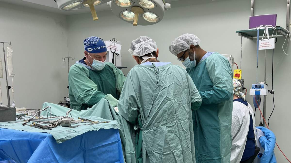 CosmosMagazine's tweet card. Xenotransplantation, taking the organs, tissues or cells from one species and transplanting them into another, is rapidly approaching clinical trials.