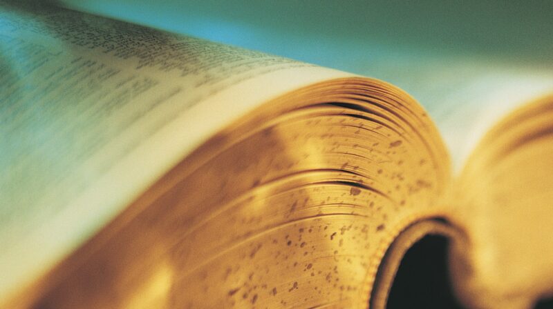 UChicagoPress's tweet card. The world of books has played a notable role in the history of English vocabulary. Book itself is one of the oldest words in the language: boc in Old English (with the o pronounced as in go). It wa…
