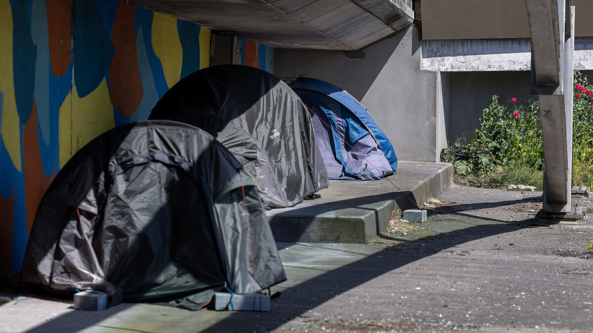 CormacJOKeeffe's tweet card. Streetlink says tent slashings targeting rough sleepers have increased, driven by hate and anti-immigrant rhetoric on Dublin’s streets